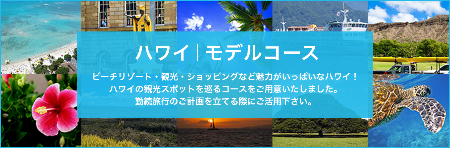 ハワイ｜モデルコース
