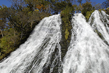 オシンコシンの滝